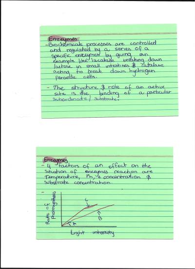 Cover page of Biology- Plants, Cells, Enzymes and Reproduction