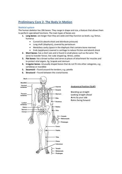 Cover page of Core 2 Prelim - Body in Motion