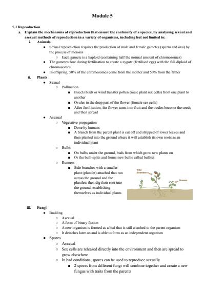 Cover page of Module 5 Biology Notes 