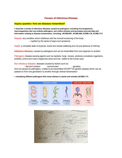 Cover page of 96.6 ATAR - HSC BIOLOGY - Module 7