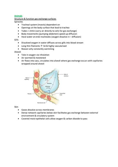 Cover page of YR11 ATAR biology notes