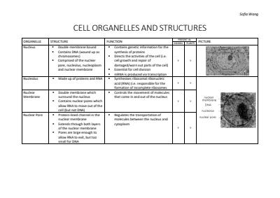 Cover page of Biology 3/4 Notes