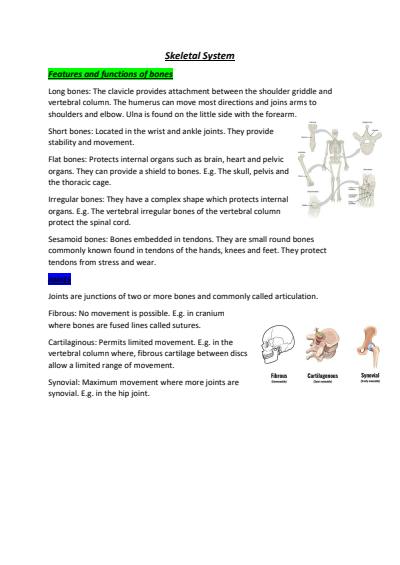 Cover page of Body in Motion- Critical question 1, skeletal system notes