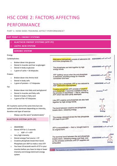 Cover page of  PDHPE CORE 2 - Factors Affecting Performance