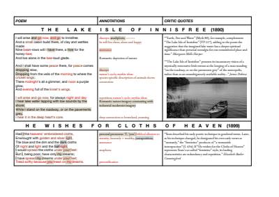 Cover page of Module B: Yeats Essay 