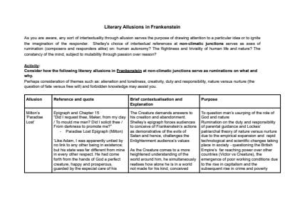 Cover page of Literary Allusions in Frankenstein