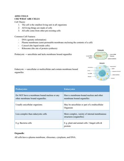 Cover page of BIOLOGY NOTES U1 AOS1 cells &functions
