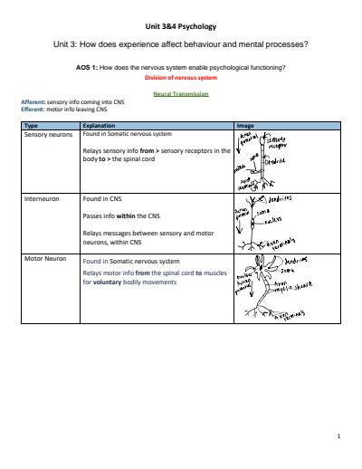 Cover page of VCE Psychology Unit 3&4 Notes - New Study Design