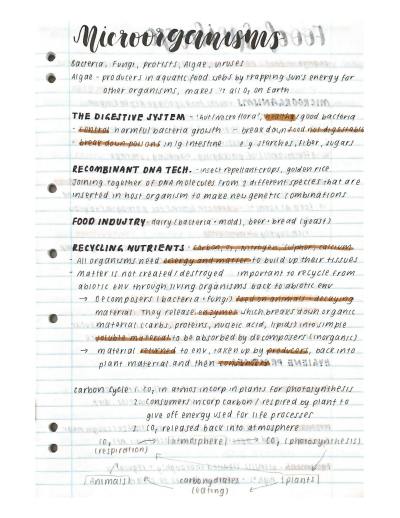 Cover page of SACE Y11 BIO Topic 2- Infectious Disease Full Book Notes