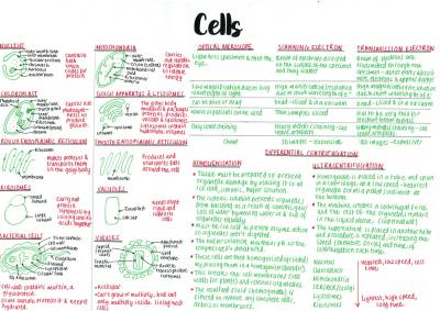 Cover page of Summary notes for ALL Biology content