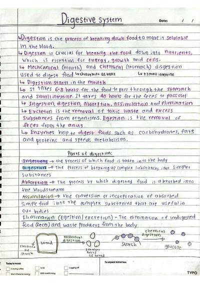 Cover page of The Three Major systems - Digestive, Respiratory and Circulatory Systems - Year 8