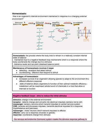 Cover page of ALL IN ONE MODULE 8 NON INFECTIOUS BIOLOGY HSC NOTES