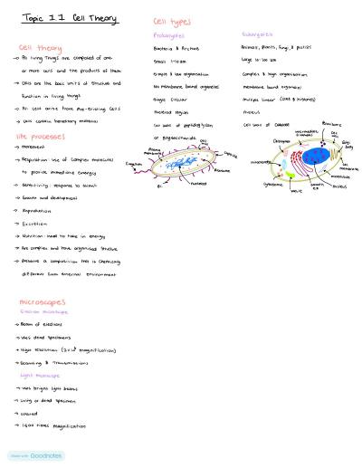 Cover page of Stage 2 biology topic notes cells