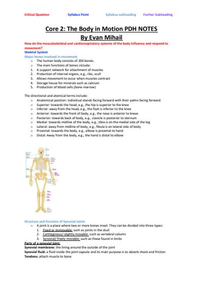 Cover page of PDH Year 11 CORE 2 Notes written from a Band 6 Student