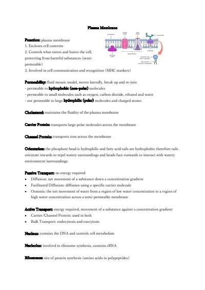 Cover page of Biology Units 3/4 Complete Summary