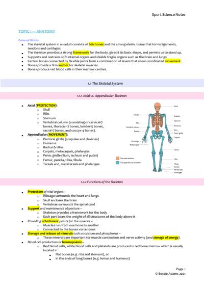 Cover page of Sports, Exercise & Health Science HL Notes