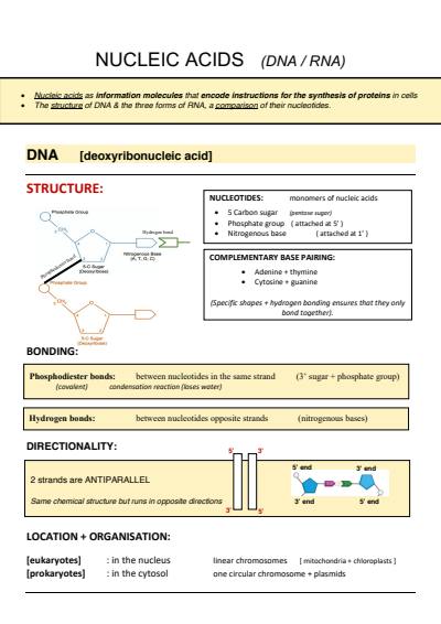 Cover page of Biology u3 notes **RAW 47** - new study design
